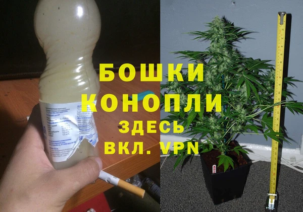 гашик Абаза