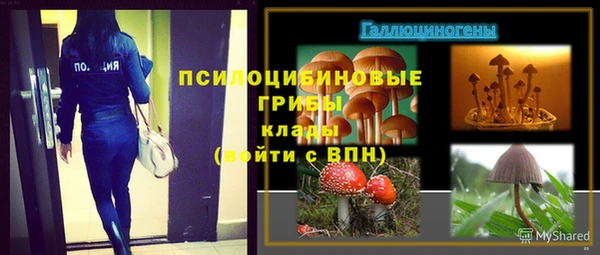 гашик Абаза