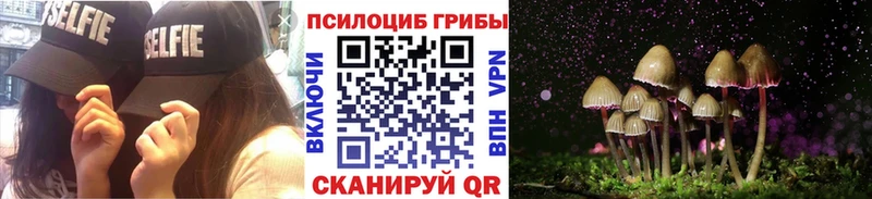 Псилоцибиновые грибы Psilocybe  гидра ссылка  Знаменск 